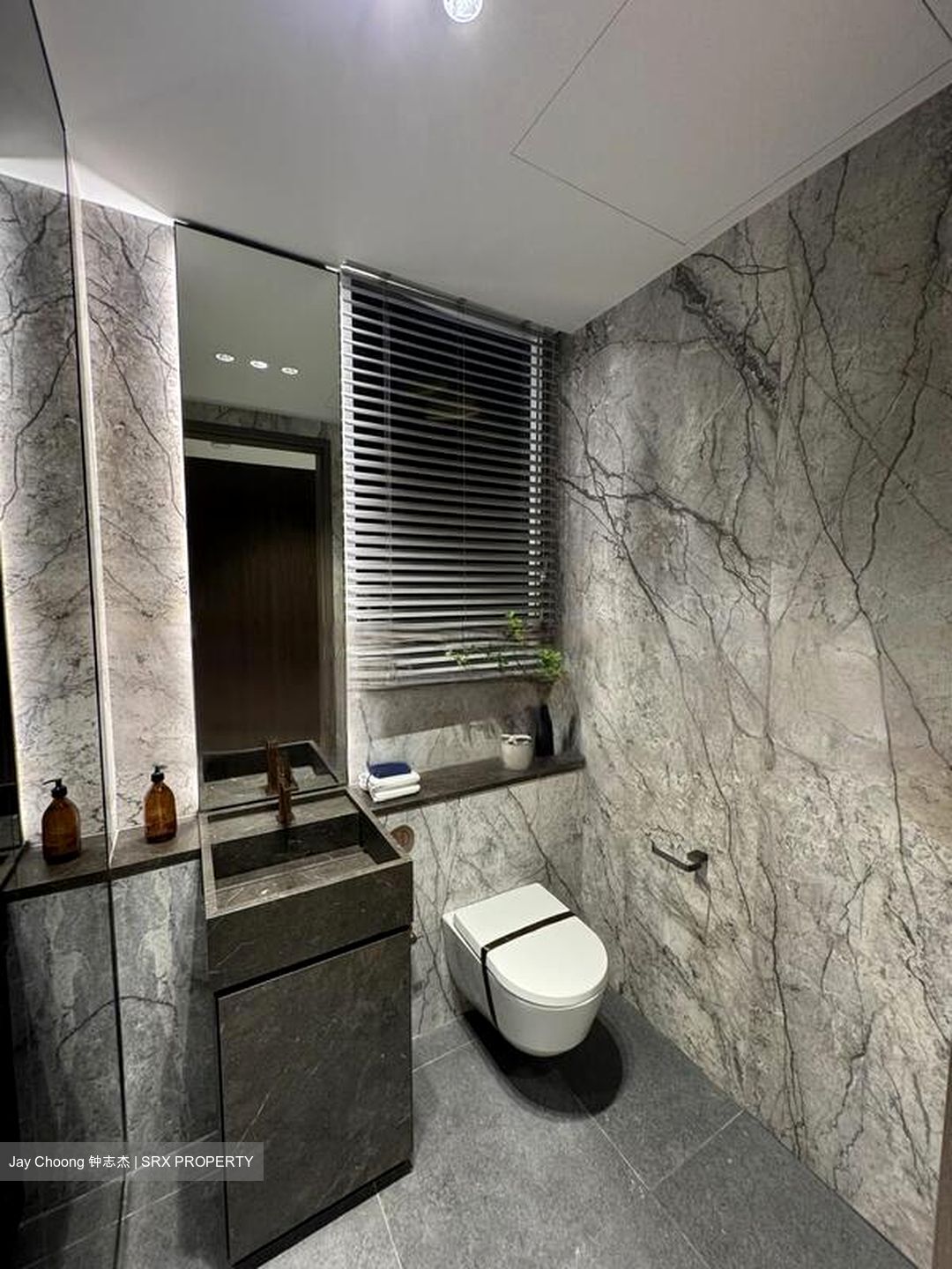 Zion Road (D3), Condominium #464272921